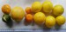 Předvánoční sklizeň:zleva Chahara,Sanford F2,kalamondiny a plody C-35