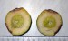 nepovedný plod citranže Morton 